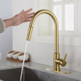 Touch Kitchen Faucet with Pull Down Sprayer - SolidRoot Buy Furniture USA