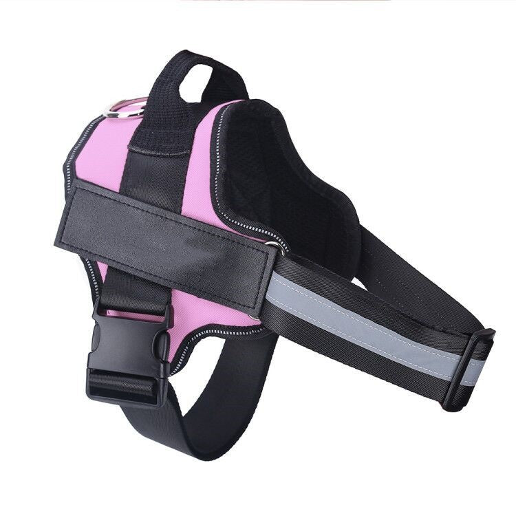 LSI Personalized No-Pull Dog Harness