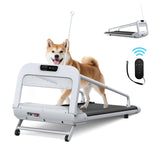 2025 New Quiet Smart Pet Treadmill, Adjustable Speed, Perfect for Small/Medium Dogs SolidRoot Buy Furniture USA