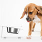 Anti-falling Cat Dog Feeding Water Bowl Livingsource