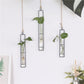 Wrought Iron Glass Hydroponic Vase Livingsource