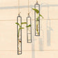 Wrought Iron Glass Hydroponic Vase Livingsource