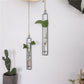 Wrought Iron Glass Hydroponic Vase Livingsource