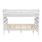 Wood Twin XL over Queen Bunk Bed with Ladder, White - SolidRoot Buy Furniture USA