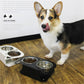 Anti-falling Cat Dog Feeding Water Bowl Livingsource