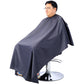 Stainless steel frame,Fashion style Hair Salon Chair Styling Heavy Duty Hydraulic Pump Barber Chair Beauty Shampoo Barbering Chair for Hair Stylist Women Man,with Barber Cape (Black) Livingsource