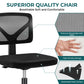 Sweetcrispy Armless Desk Chair Small Home Office Chair with Lumbar Support Livingsource