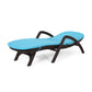 MIKAEL CHAISE LOUNGE WITH CUSHION - SolidRoot Buy Furniture USA
