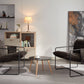 2 Chairs in 1 Box, Upholstered hanging armchair with arm pocket metal frame, crushed foam cushions and skin-friendly braid for living room and bedroom. Dark Gray Livingsource