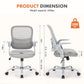 Sweetcrispy Office Mid Back Ergonomic Mesh Computer Desk Larger Seat Executive Height Adjustable Swivel Task Chair with Lumbar Support Livingsource