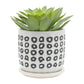 S/2 5/6" AZTEC PLANTER W/ SAUCER, BLACK Livingsource