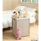 EVG Laundry Hamper With Lid PE Rattan Powder Coating Frame Clothes Hampers with 01 Removable Bags, 100L, Gray Color - SolidRoot Buy Furniture USA